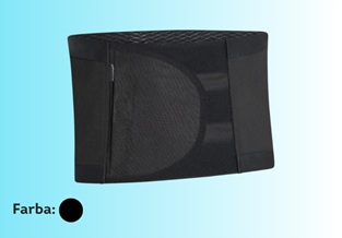Belt with panel